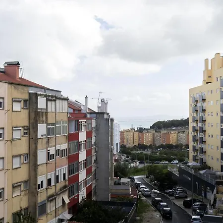 Olaias Design By Homing