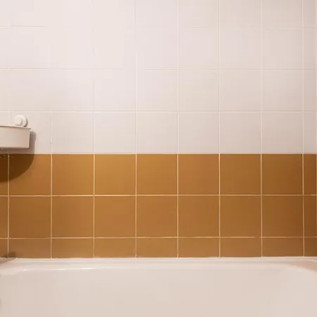 Olaias Design By Homing *